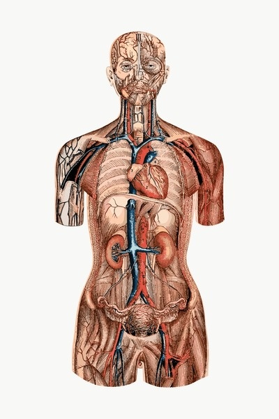 Practical Visual Education